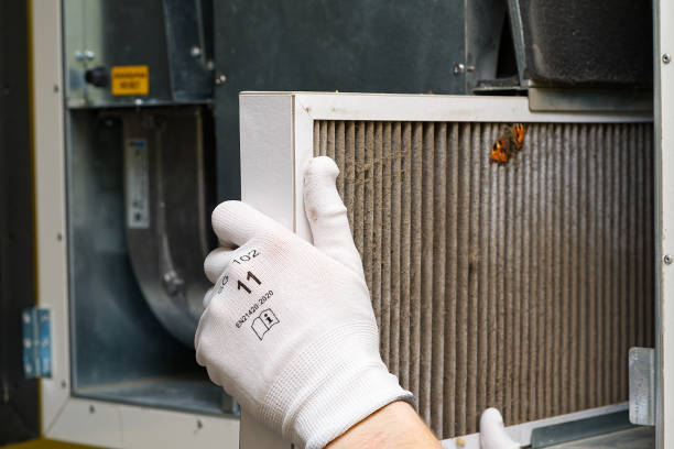 Best Ductwork Cleaning Services  in Alexandria, VA