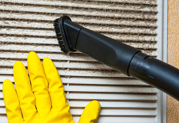 Best Ductwork Cleaning Services  in Alexandria, VA